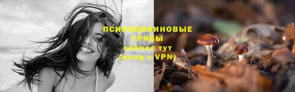 МДПВ Лабытнанги