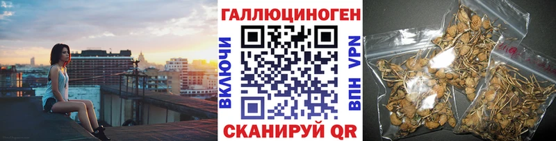 Галлюциногенные грибы Cubensis  Купить где  Сальск 